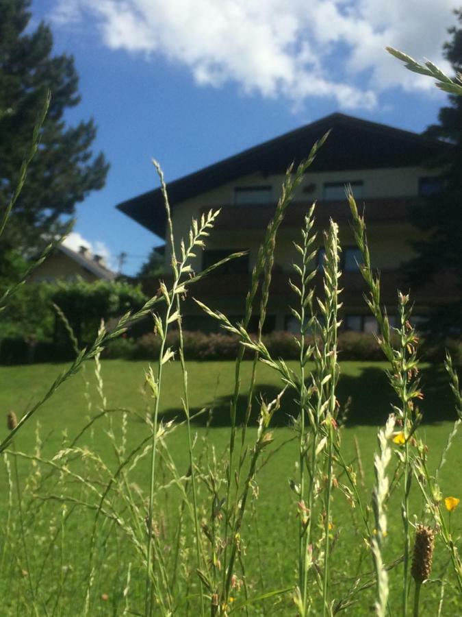Haus Auer Lägenhet Weyregg Exteriör bild